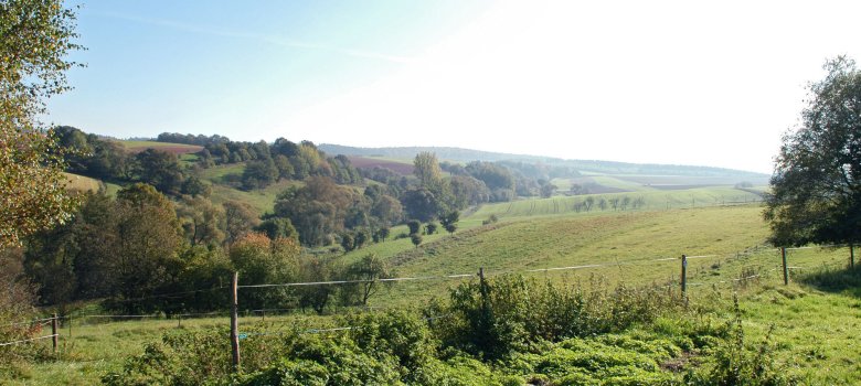 Blick in die Natur um Weiterode