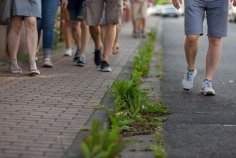 ISEK Soziale Stadt Bebra Viele Fußgänger auf einem Fußgängerweg